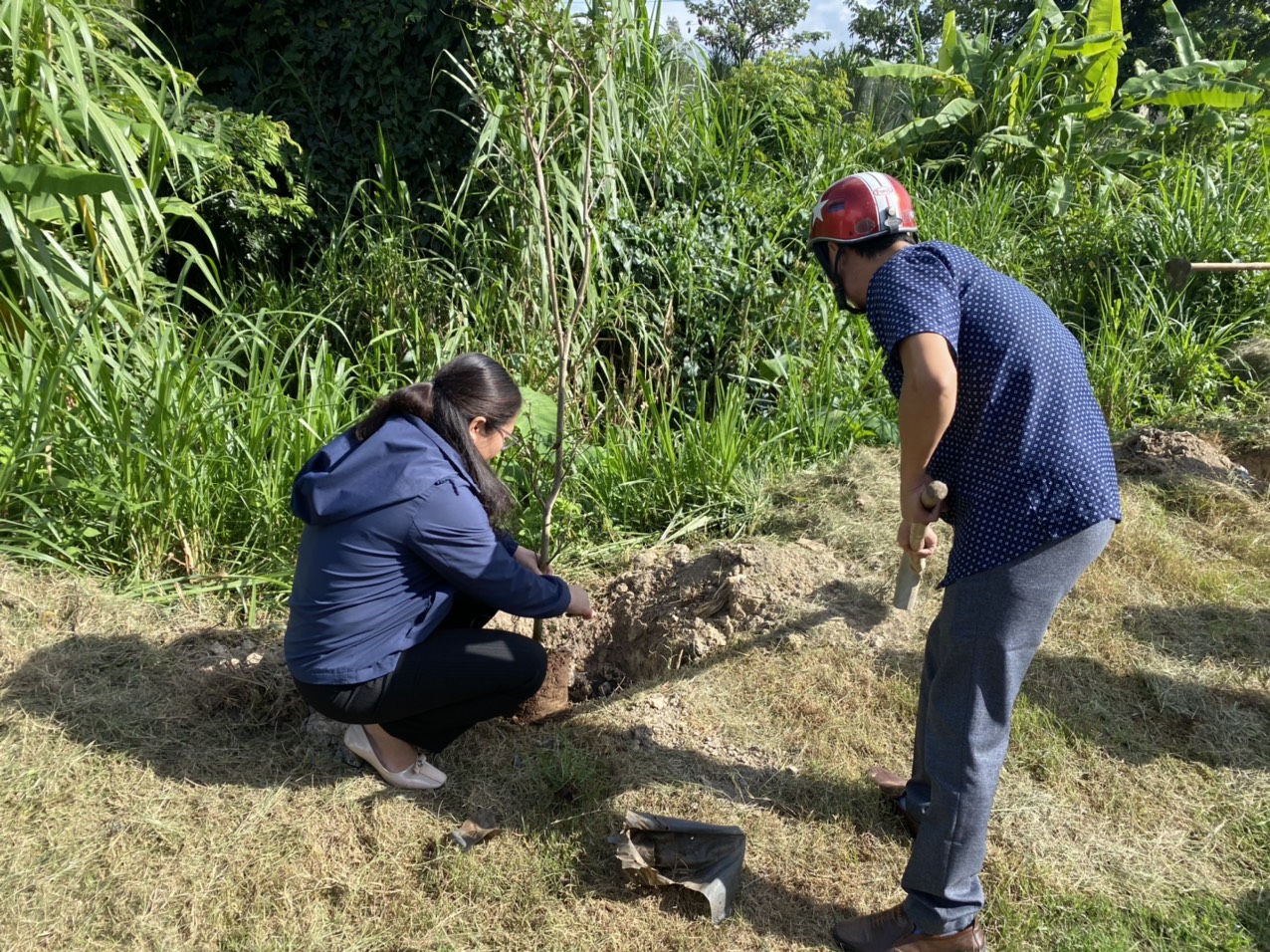 Hưởng ứng Lễ phát động "Tết trồng cây đời đời nhớ ơn Bác Hồ" và trồng cây xanh năm 2024