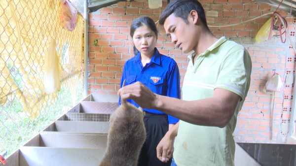 Chàng thanh niên khởi nghiệp từ chăn nuôi dúi